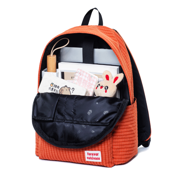 #9627 17" Wholesale Back Pack Basic Backpack for adult Lightweight Outdoor Travel Bookbags