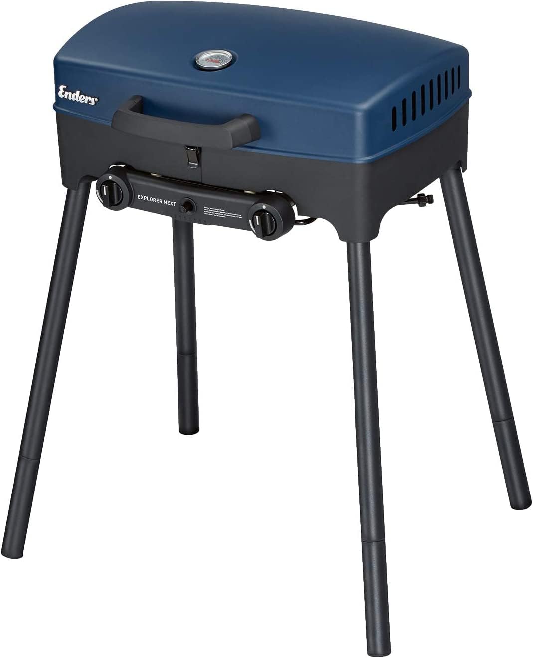 Parrilla de Gas Portátil para Camping con 2 Quemadores de Acero Inoxidable 59 x 47 x 76 cm - Barbacoa Compacta para Picnic Balcón y Exterior-Palolyhaven