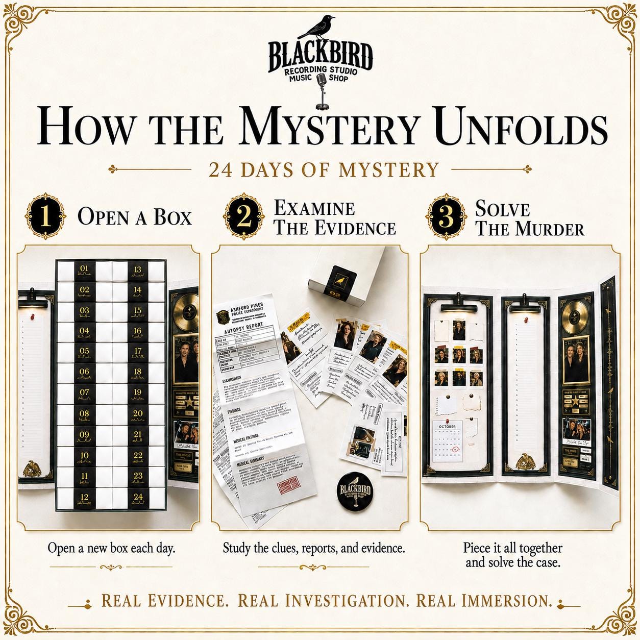 Blackbird 24-Day Murder Mystery Advent Calendar – Adult Cold Case Detective Game
