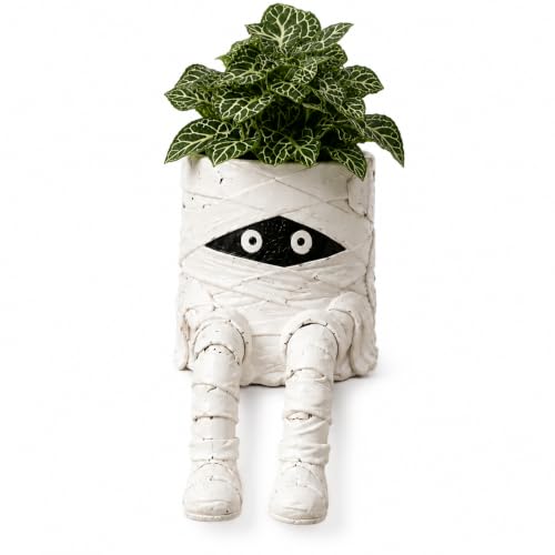 Whimsical Halloween Hanging Legs Planter