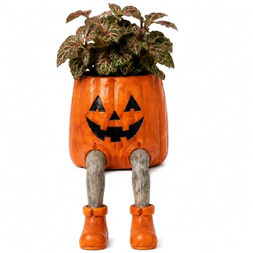 Whimsical Halloween Hanging Legs Planter