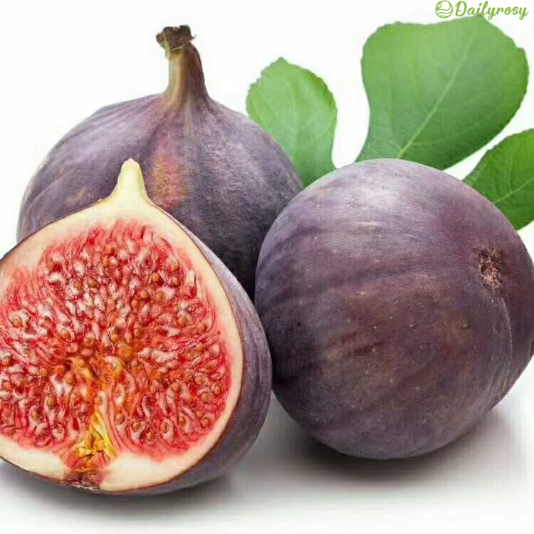 🍑 Гигантски смокинови семена – сладки като праскова. Перфектни за твоя дом!