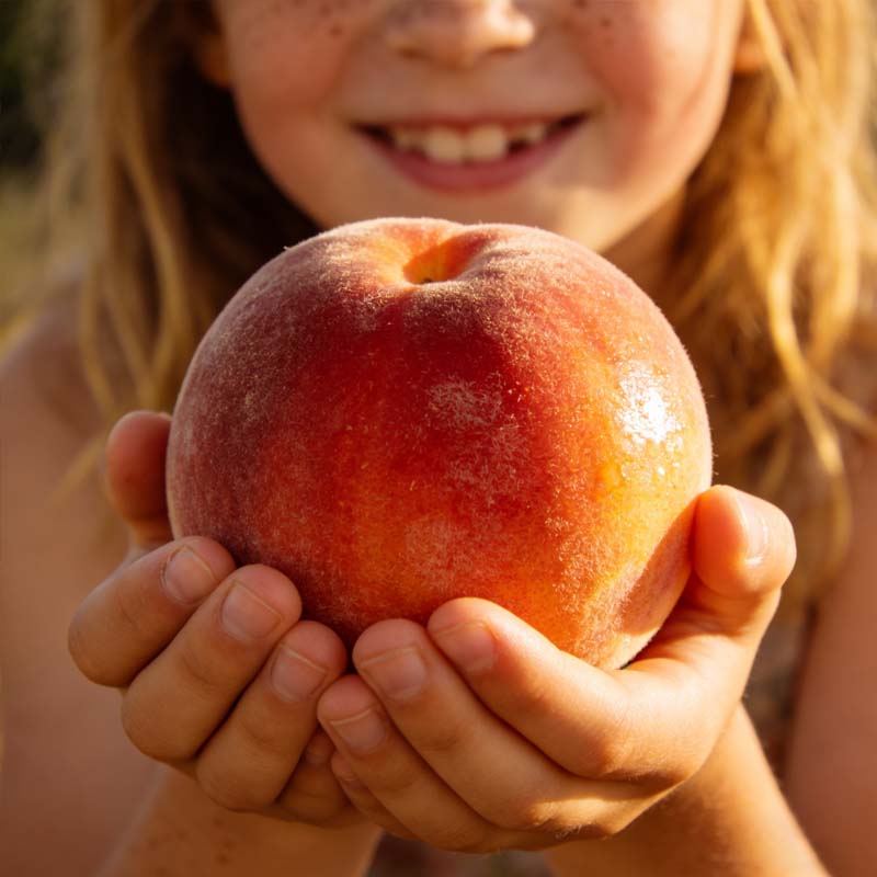 🔥 Над 65 000 продажби! 🍑 🌱 Семена за джуджева праскова „Honey Red“ – лесно домашно отглеждане + сладка реколта!