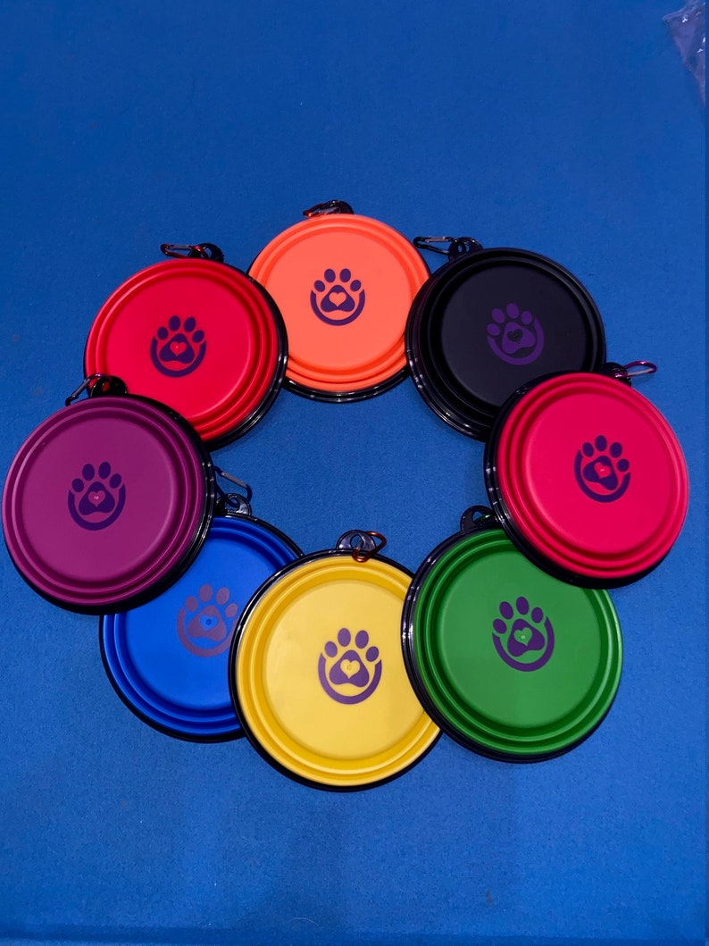 Gamelle pliable en silicone pour chien, bol de voyage pratique