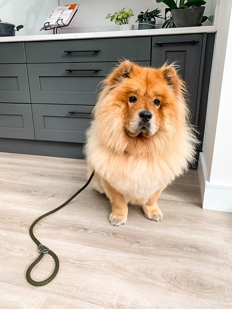 Laisse Bianca en cuir et corde de coton 12 mm pour chien