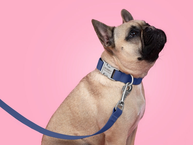 Laisse imperméable résistante aux intempéries pour chien