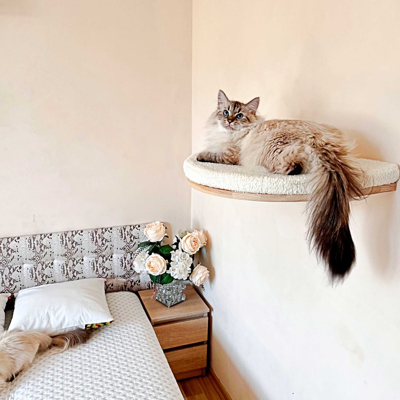 Étagères pour chats, 4 COULEURS DE BOIS, Étagères murales pour chats, Lit pour chats, Meubles muraux pour chats