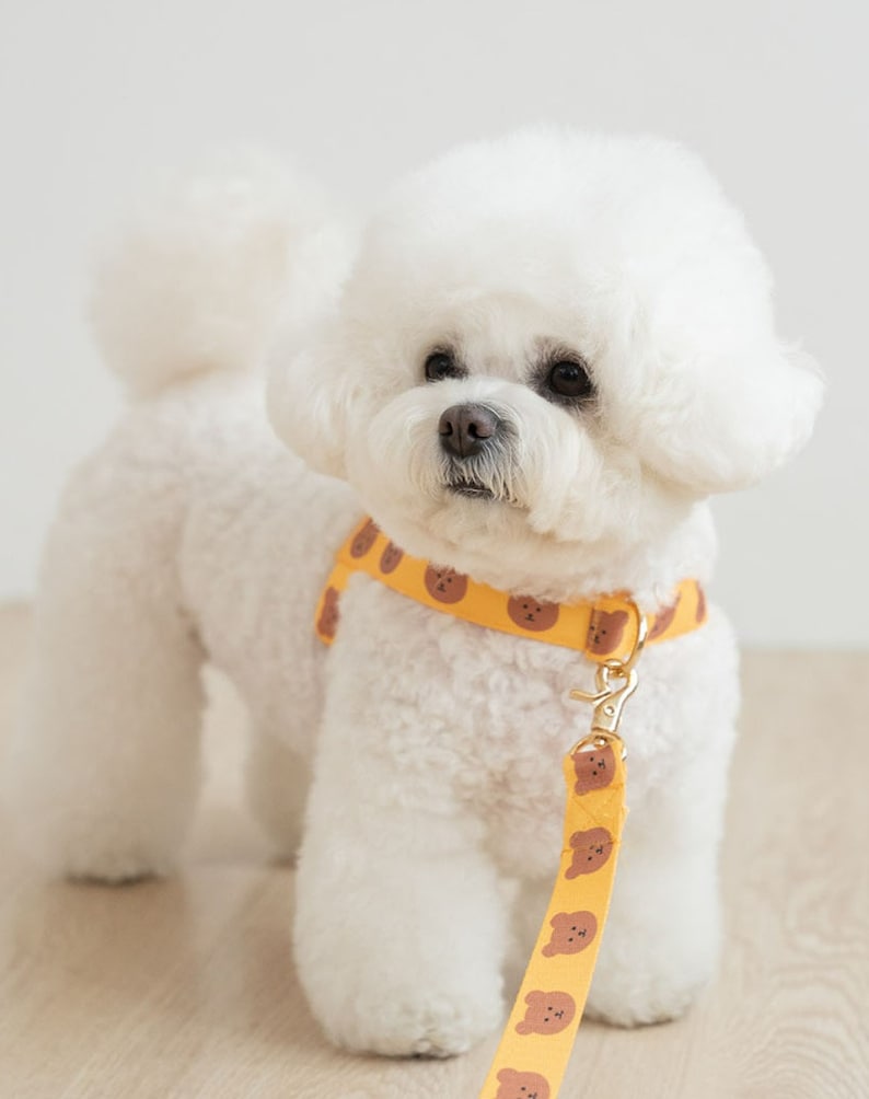 Harnais sans traction imprimé ours pour chien