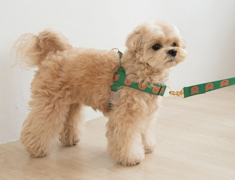 Harnais sans traction imprimé ours pour chien