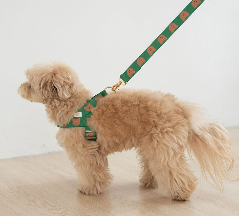 Harnais sans traction imprimé ours pour chien