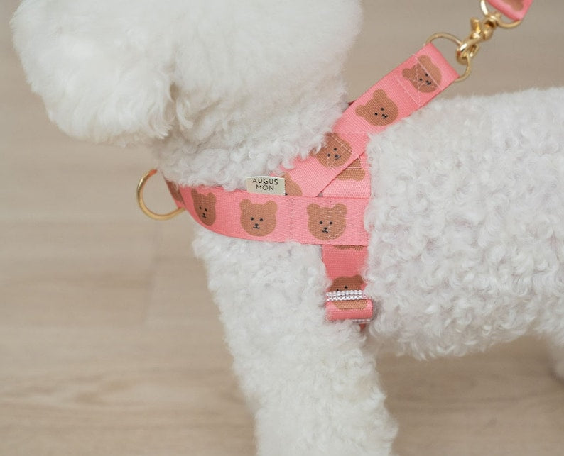 Harnais sans traction imprimé ours pour chien