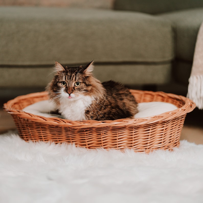 Panier en osier pour animal avec oreiller coton confortable