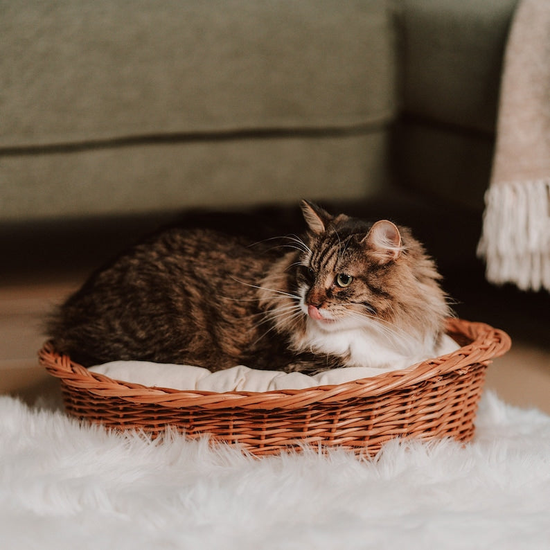 Panier en osier pour animal avec oreiller coton confortable