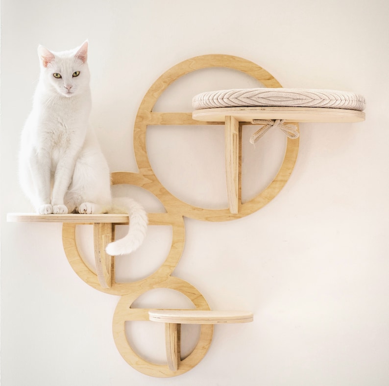 Étagère Bubble Cat avec marches : mobilier mural d'escalade moderne