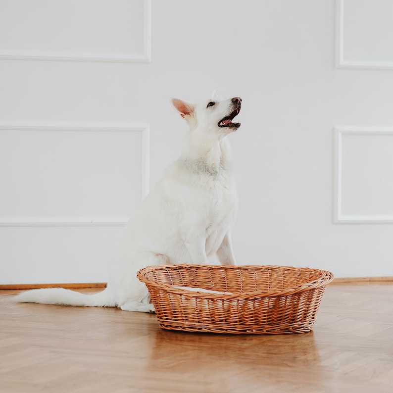 Panier en osier pour animal avec oreiller coton confortable