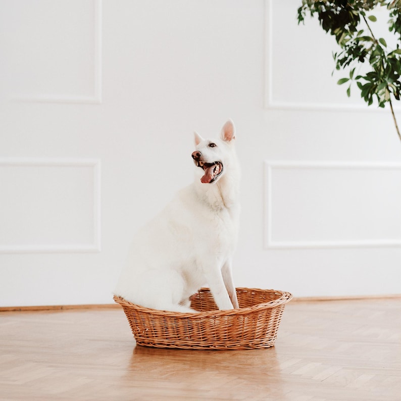 Panier en osier pour animal avec oreiller coton confortable