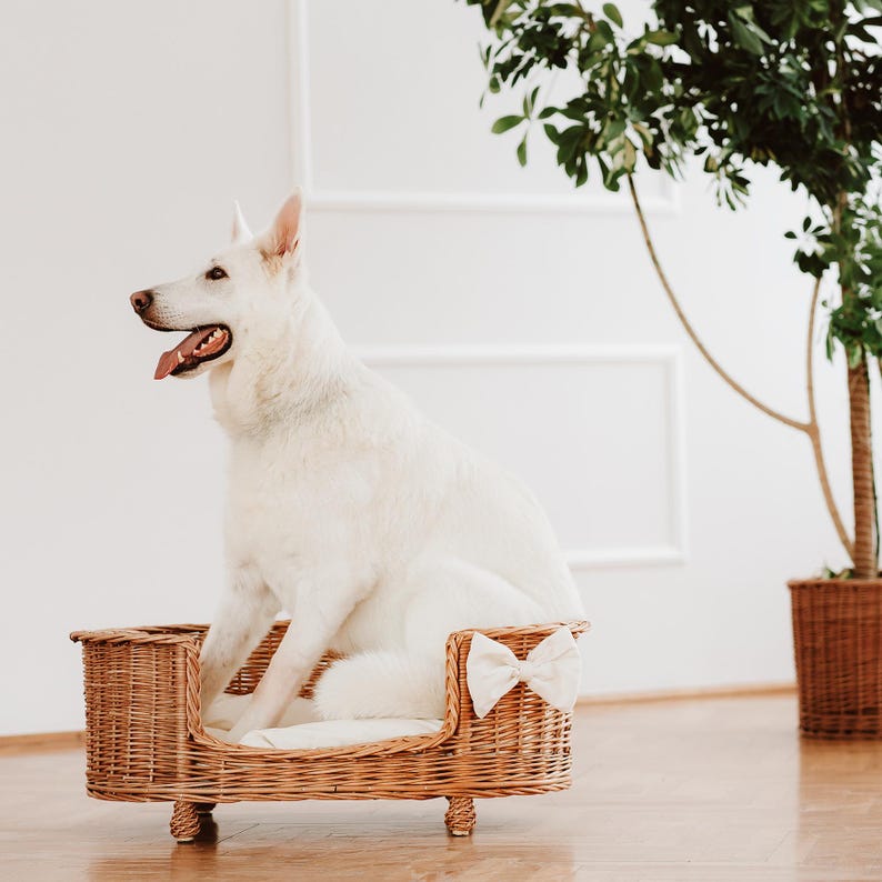 Panier en osier pour chien et chat avec coussin douillet