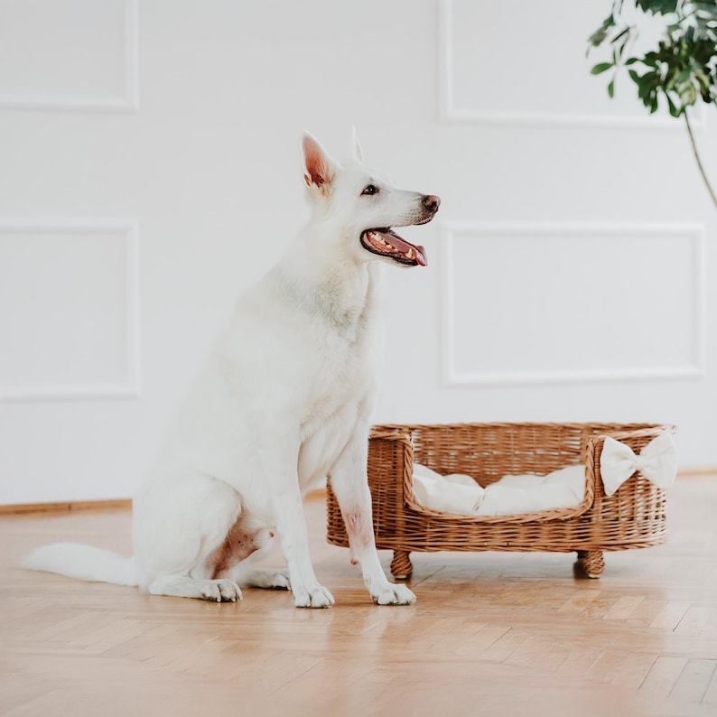 Panier en osier pour chien et chat avec coussin douillet