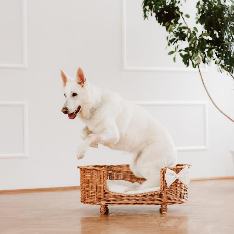 Panier en osier pour chien et chat avec coussin douillet