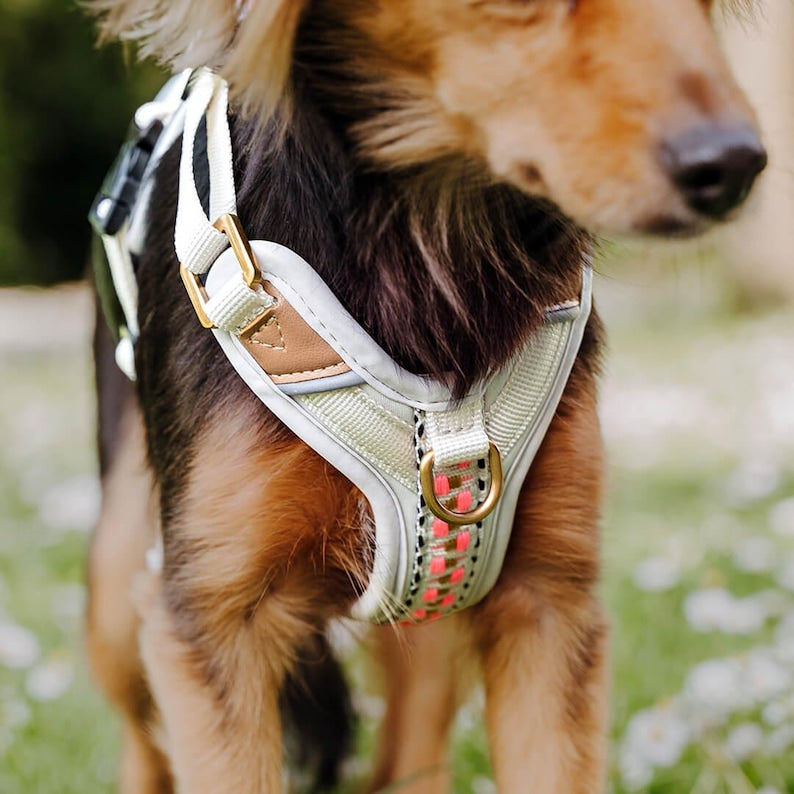 Harnais rembourré haut de gamme pour chien avec poignée et réflecteurs - Très Chic
