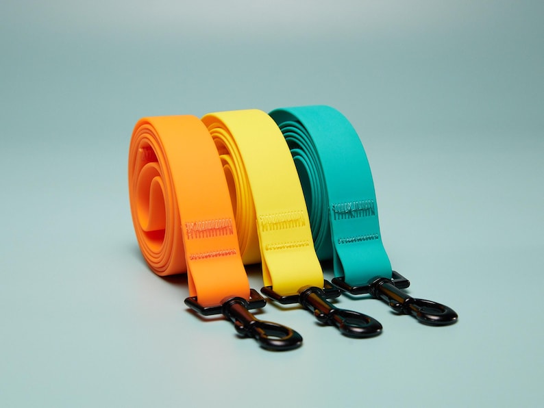 Laisse imperméable résistante aux intempéries pour chien
