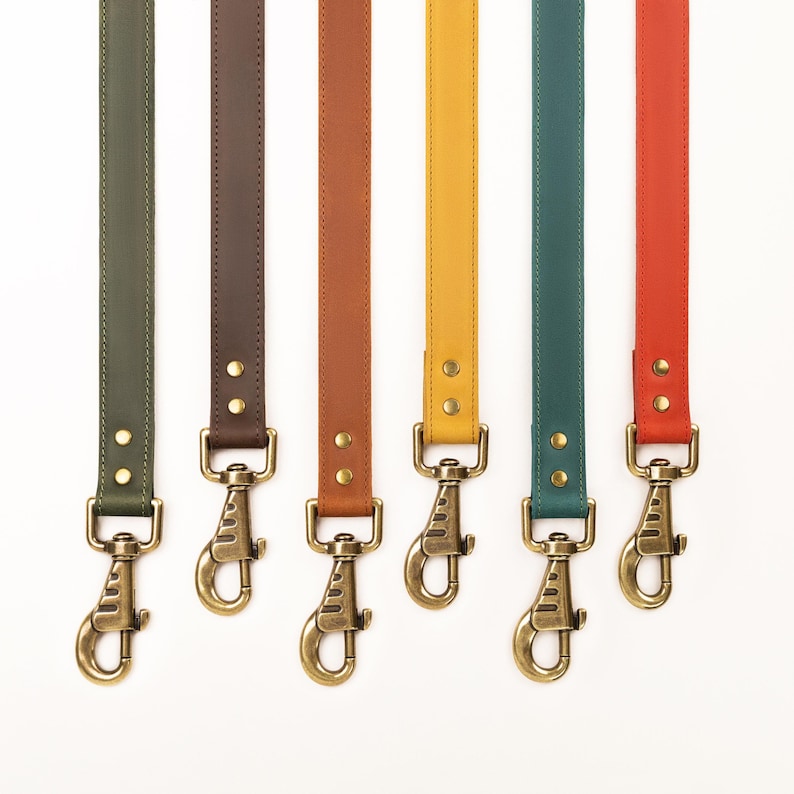 Laisse en cuir solide faite main avec collier pour chien