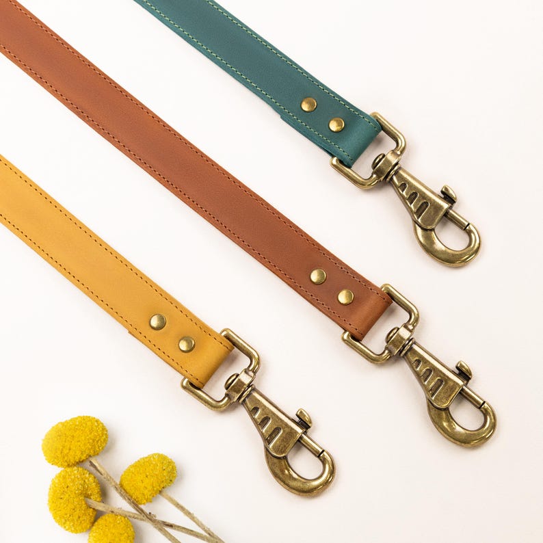 Laisse en cuir solide faite main avec collier pour chien