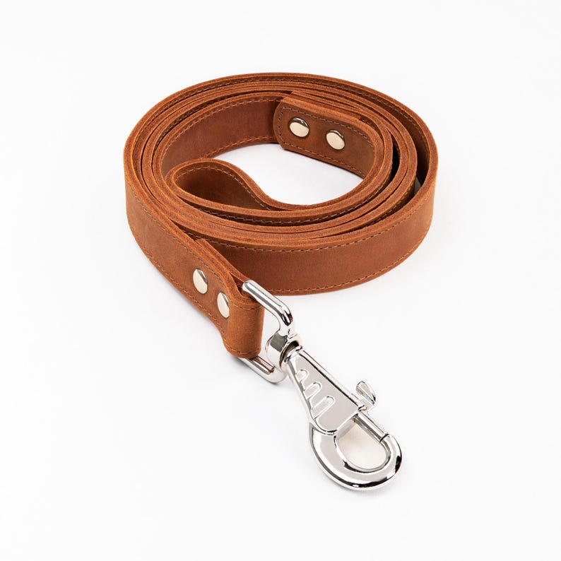 Laisse en cuir solide faite main avec collier pour chien