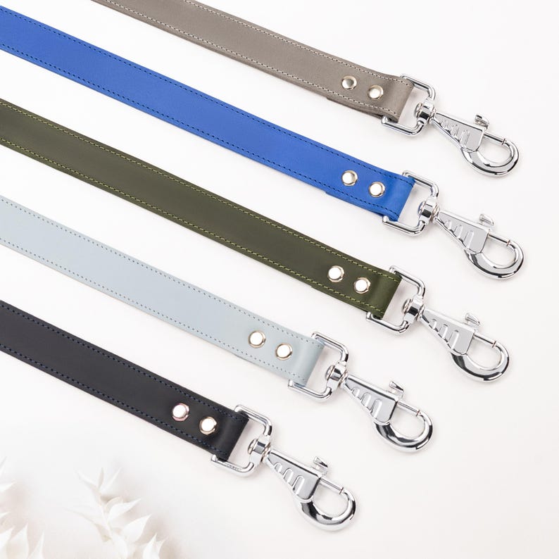 Laisse en cuir solide faite main avec collier pour chien