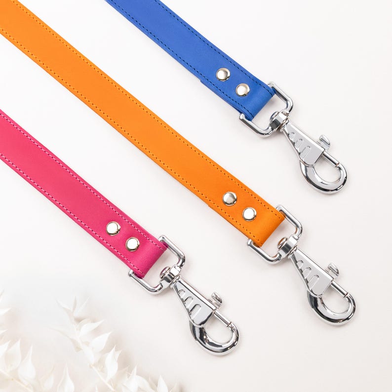 Laisse en cuir solide faite main avec collier pour chien