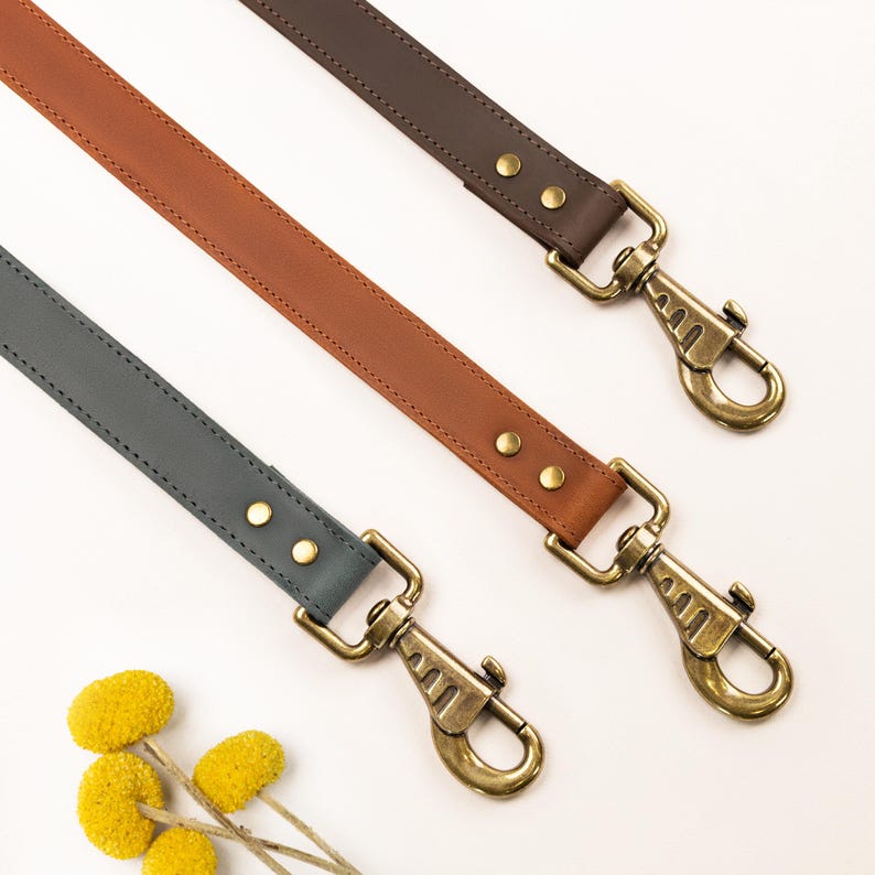 Laisse en cuir solide faite main avec collier pour chien
