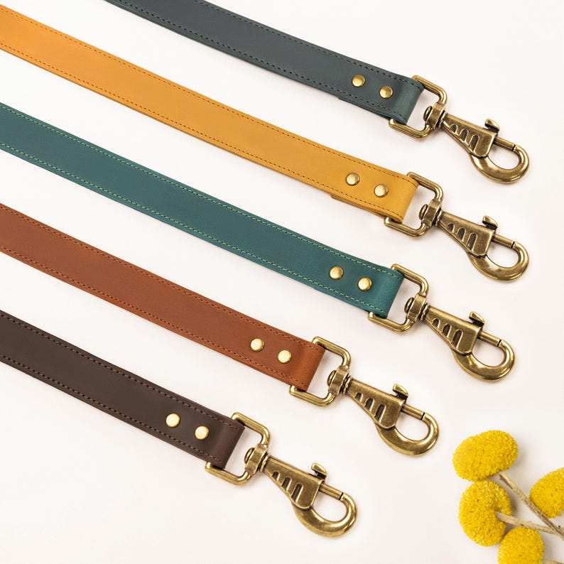 Laisse en cuir solide faite main avec collier pour chien