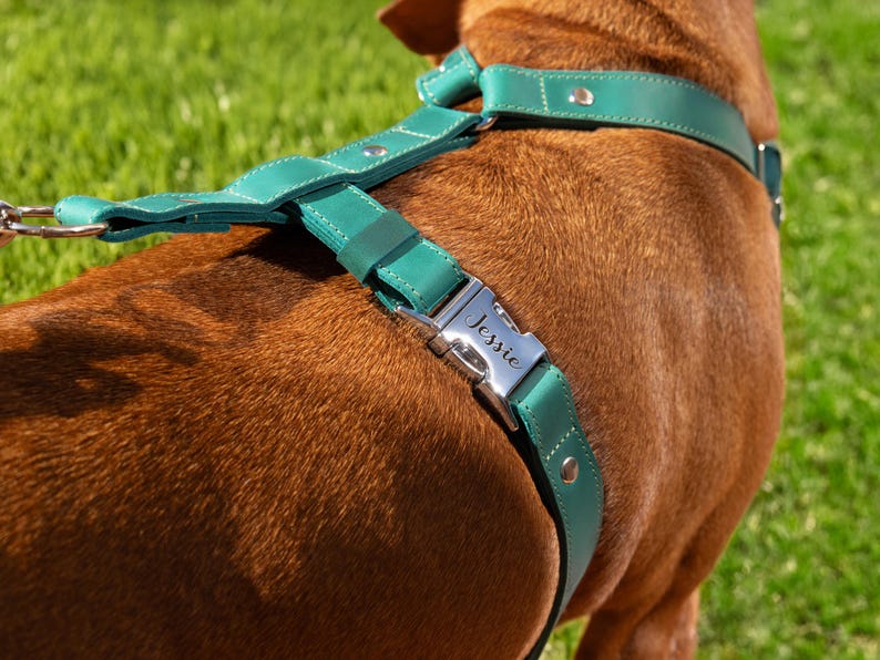 Harnais en cuir pour chien, harnais personnalisé pour chien, harnais de poitrine en cuir, cadeaux pour animaux de compagnie, harnais réglable pour chien, accessoires personnalisés pour chien