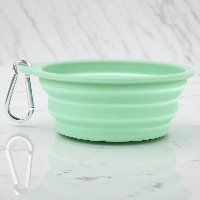Gamelle pliable double en silicone pour animaux, eau et repas