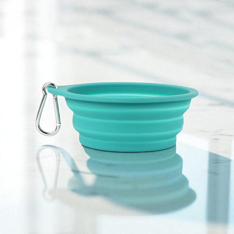Gamelle pliable double en silicone pour animaux, eau et repas