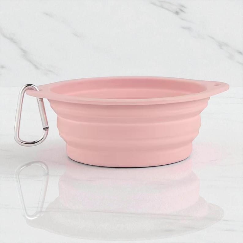 Gamelle pliable double en silicone pour animaux, eau et repas