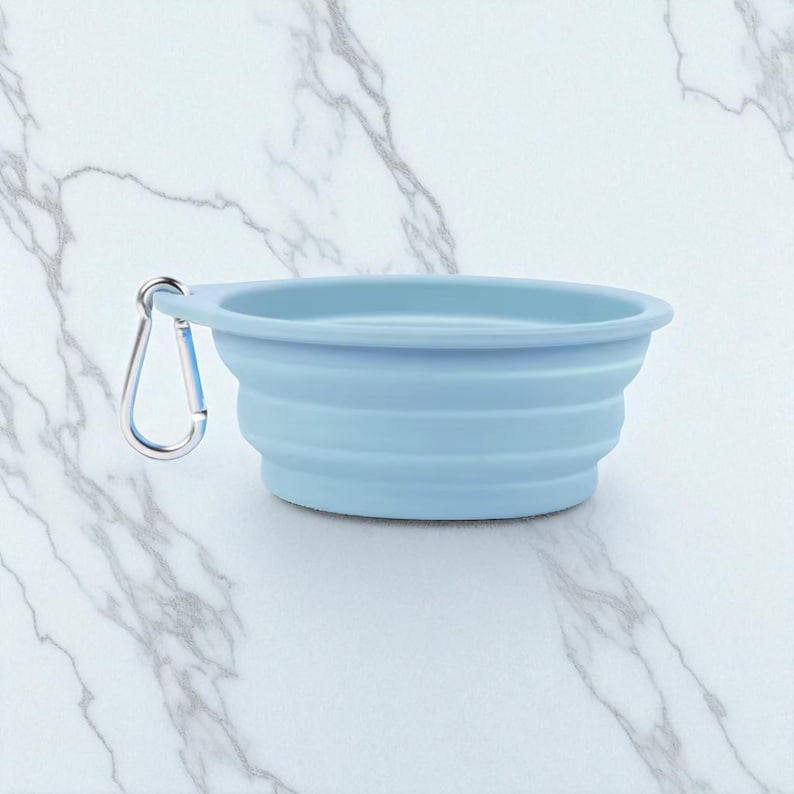 Gamelle pliable double en silicone pour animaux, eau et repas