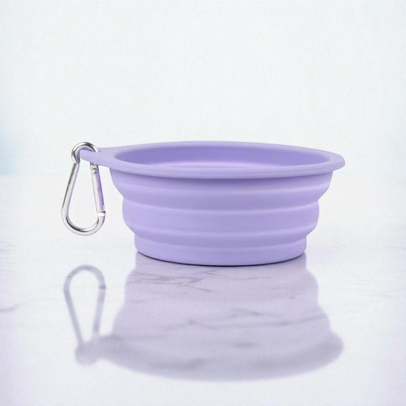 Gamelle pliable double en silicone pour animaux, eau et repas