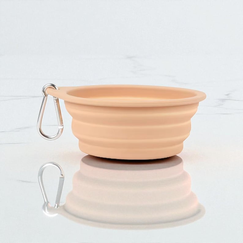 Gamelle pliable double en silicone pour animaux, eau et repas