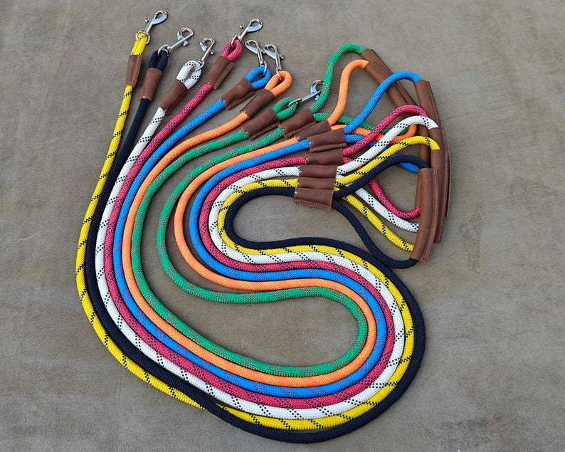 Laisse en nylon robuste avec poignée cuir confortable pour chien