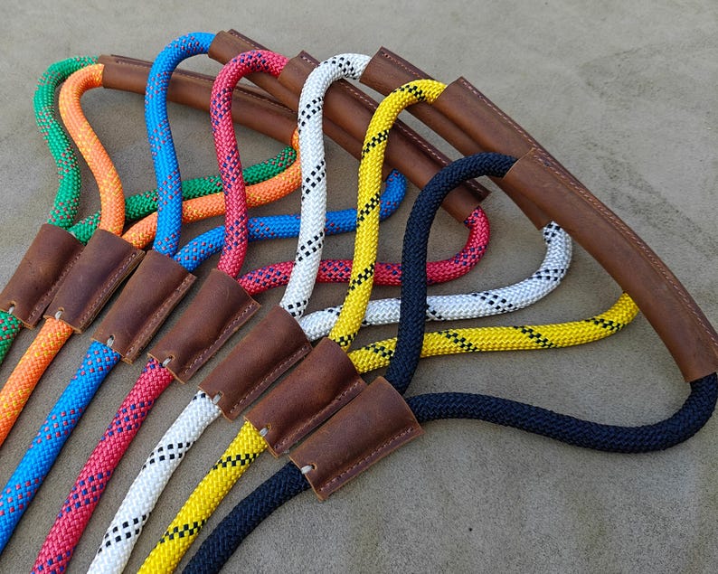 Laisse en nylon robuste avec poignée cuir confortable pour chien