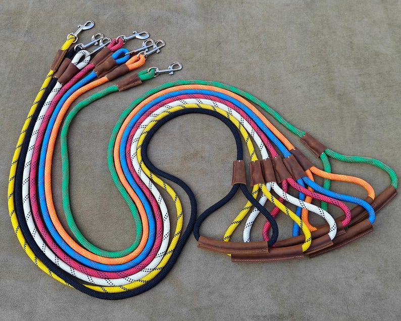 Laisse en nylon robuste avec poignée cuir confortable pour chien