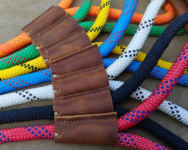Laisse en nylon robuste avec poignée cuir confortable pour chien
