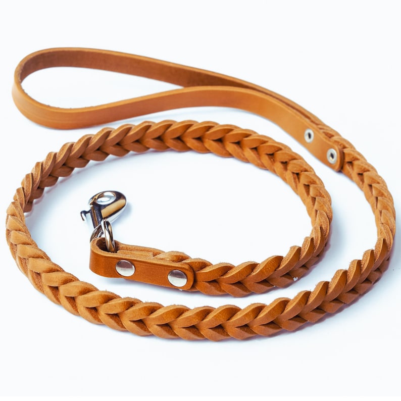 Laisse en cuir tressé fauve souple et extensible pour chien
