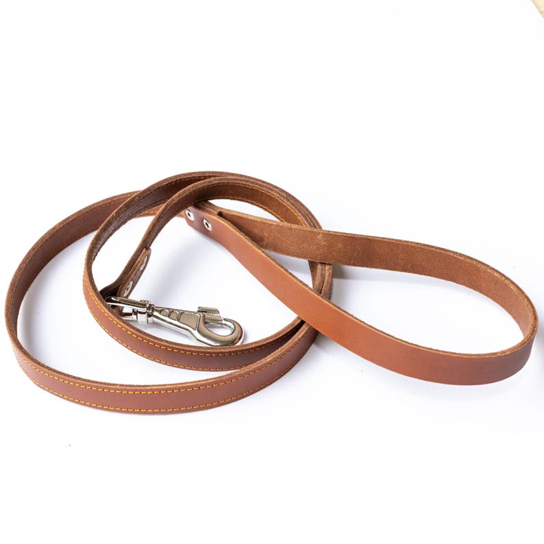 Laisse en cuir tressé fauve souple et extensible pour chien