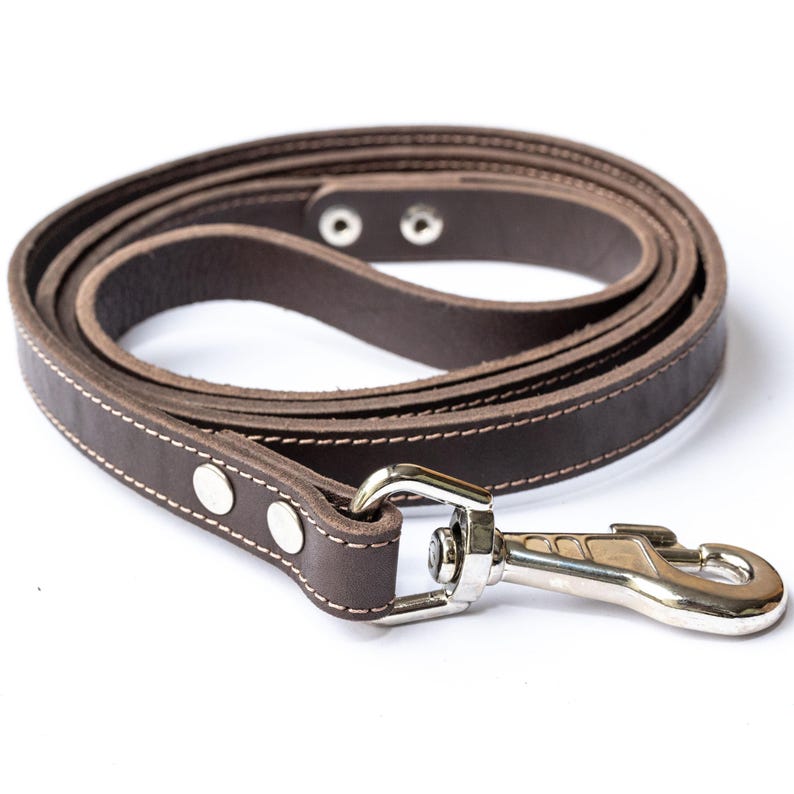 Laisse en cuir tressé fauve souple et extensible pour chien