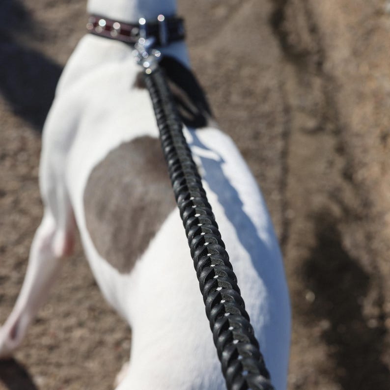 Laisse en cuir tressé fauve souple et extensible pour chien