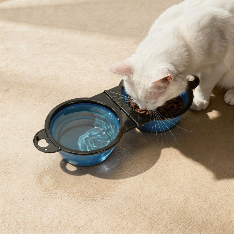 Gamelle pliable portable extérieure pour chiens et chats, bol d’eau