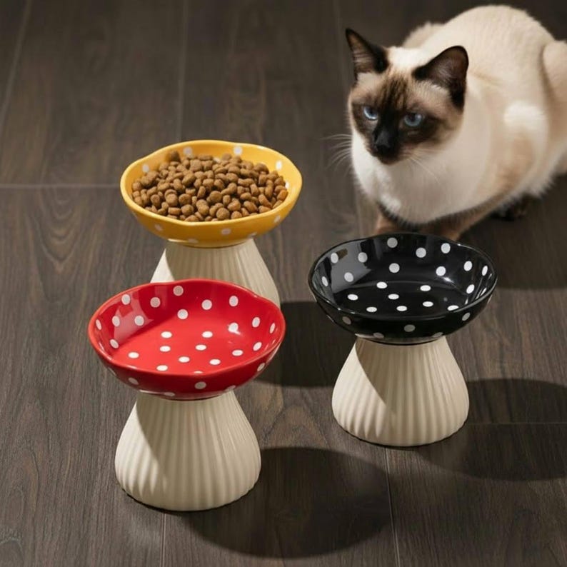 Bol pour animaux de compagnie en céramique champignon surélevé bol en céramique pour chat bol pour chiot plat de nourriture bol pour petit chien fournitures pour animaux de compagnie Décor champignon bol d'eau pour chat cadeau pour animaux de compagnie