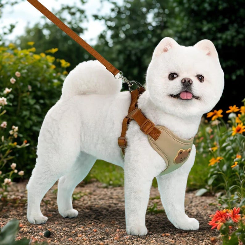 Harnais respirant réglable avec laisse pour chien ou chat